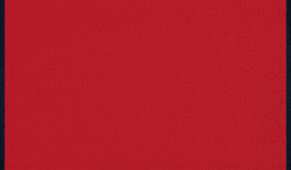 Dørmåtte Scarlet 40x60cm