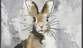 Dørmåtte Hopps 50x75cm