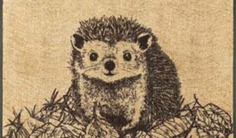 Gulvmåtte Hedgy 50x75cm